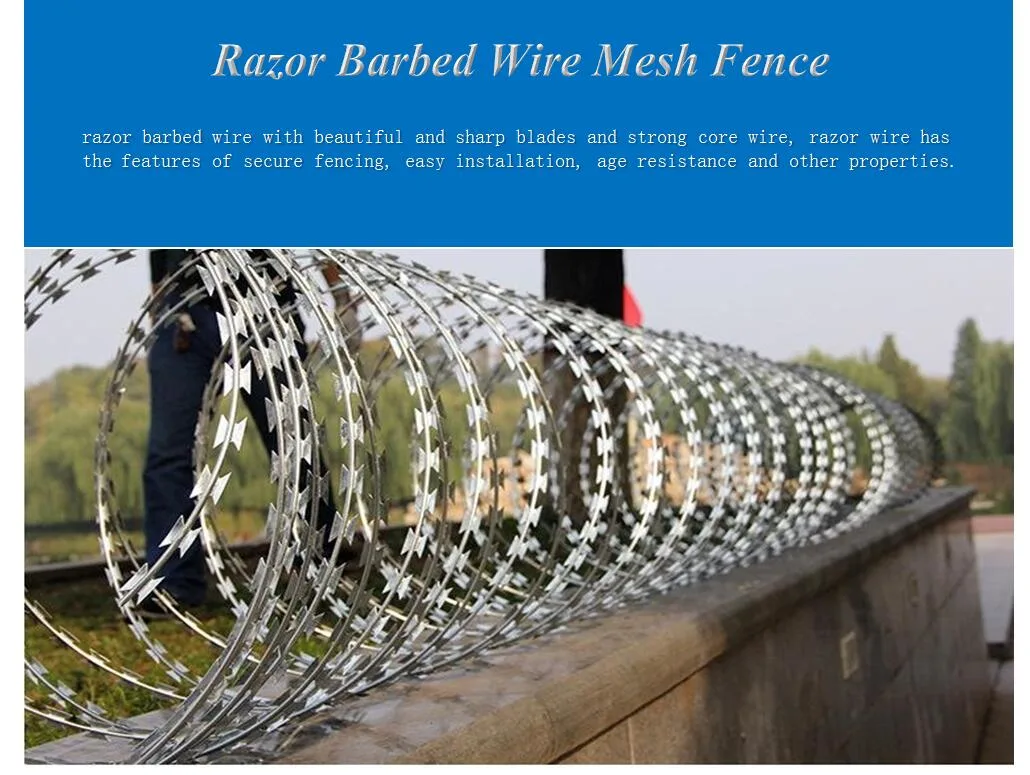 Galvanized Razor Barbed Concertina Wire for Border Wall/Airport Concertina Razor Barbed Wire
