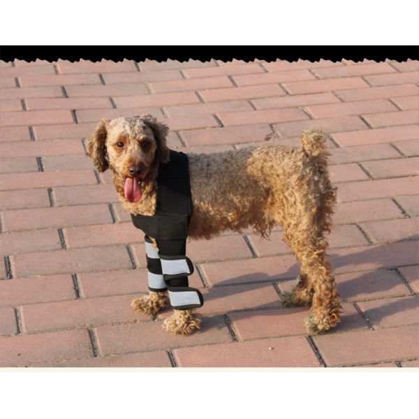 Скакательный сустав спортивные наколенники дышащий противоударный пользовательский наколенник для маленькой собаки