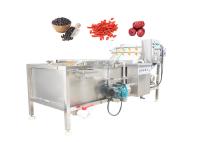 Máquina del lavado de la col de la transformación de la hoja y de los alimentos de las verduras
