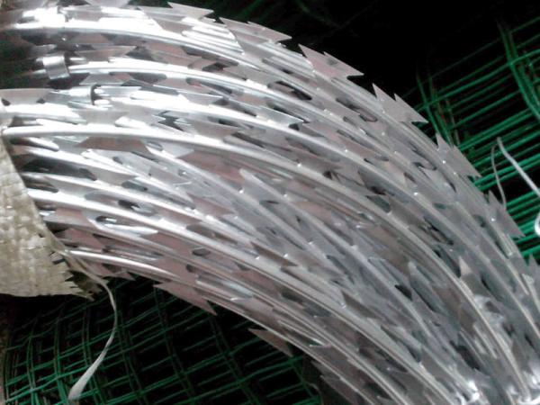 New products sell like hot cakes Stab blade thorn rope anti-theft cage gill net against climb barbed wire, crawl barbed wire