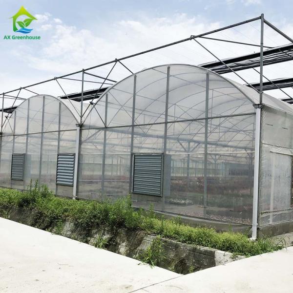 Estufa de aço galvanizada quente do filme plástico para agrícola