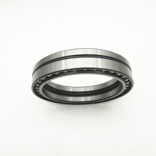 Excavator Special Bearings 120BA16 Size 120x165x22 Mm Cylindrical Roller Bearing
