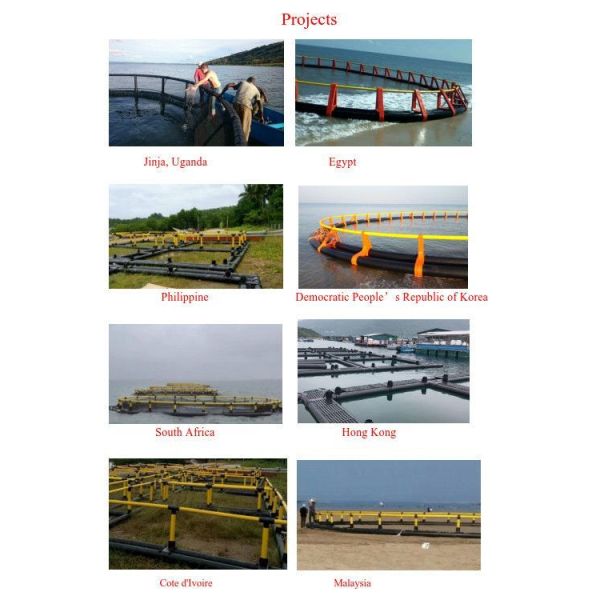 Réseau d'élevage de poissons de mer en HDPE, cage anti-onde 4 m2 à 200 m2