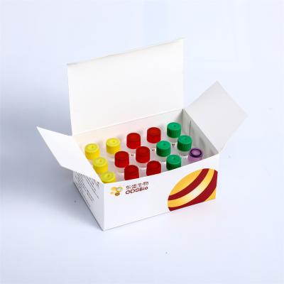 DNA Library Construction Scheme In One Tube Fast DNA Library Prep Kit V2