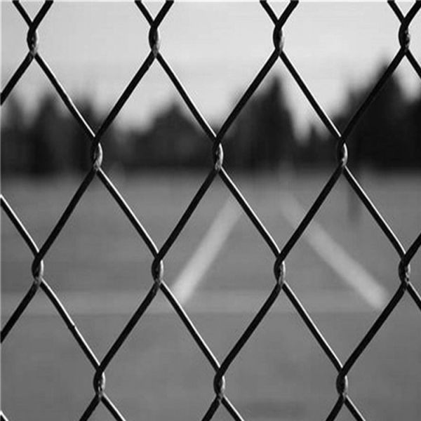 OEM 25 футовый цепной забор с цепной связью фермы