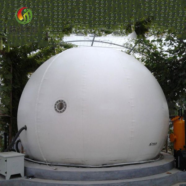 Резервуар для газа PDFE Anaerobiosis био Containerised завод лэндфилл-газа гибкий