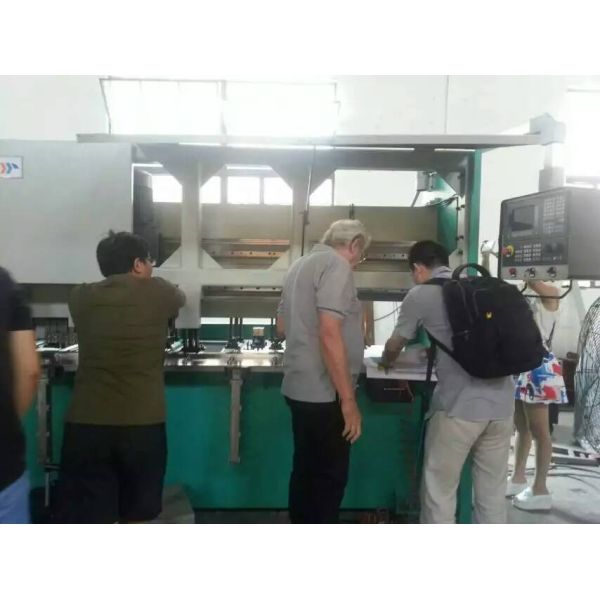 CNC de alta velocidad de la chapa que acanala la decoración de la máquina modificada para requisitos particulares