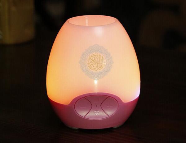 New Product Islamic gift free arabic music download mp3 player 8GB kingston sd memory qura