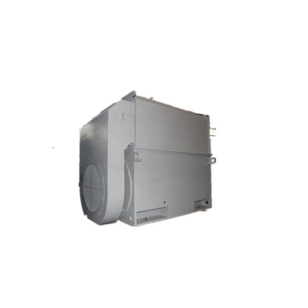 H355 H1120 Frame High Voltage AC Motor YKK 5004-2 1250kW