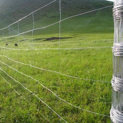 Fabrique clôture de champ de élevage de chèvres de haute qualité pour moutons et bovins
