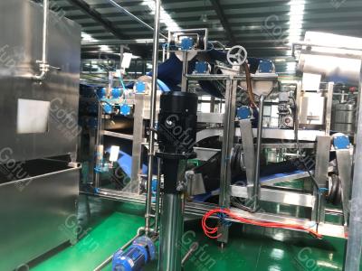 Linha de processamento industrial de Apple para o doce 400T/D SUS304