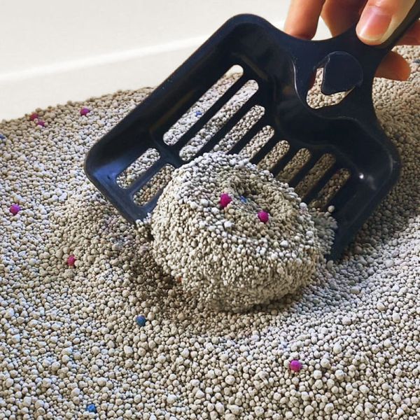 Fragrance Customizable Clumping Bentonite Cat Litter for Indoor Cats with Strong Odor Protection
