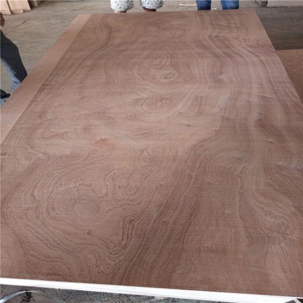 Package E1 Glue 1220x2440mm Sapele Faced Plywood