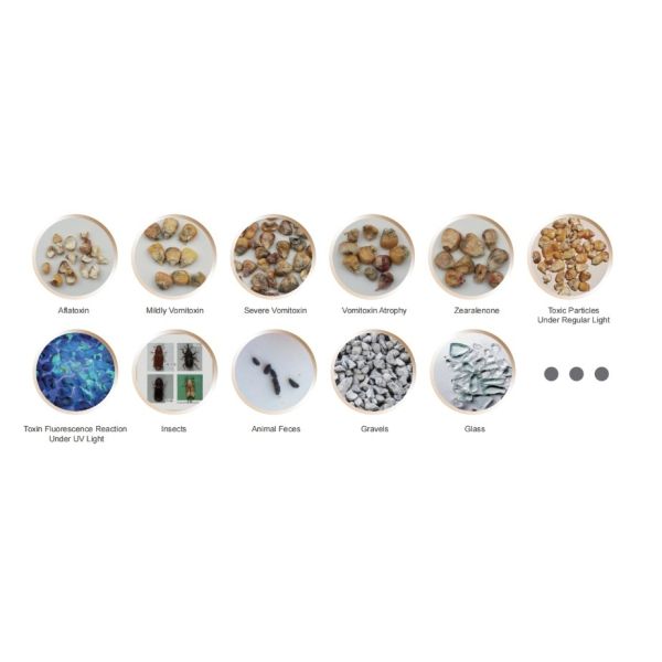 Deep Learning Toxin Infrared Sorting Machine VG Series Colour Sorter