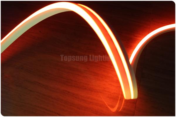 Mini LED Flex néon 12V pour l'architecture de pont piscine lumière plate 11x19mm néon-flex