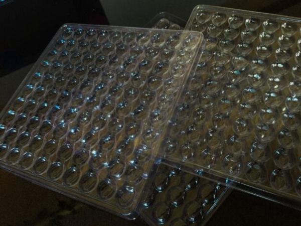 PET PP PS Pvc Blister Tray Disposable Blister Clear Plastic Esd Pcb Ic Tray