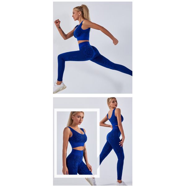 Добавочная змейка размера печатая разминку йоги установила ударопрочные гетры спортзала бюстгальтера спорт