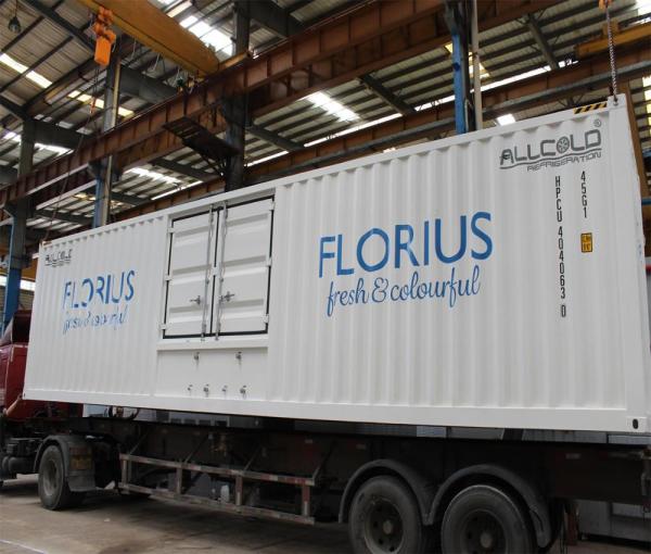 4 Pallets R404A  Compressor Flower Vacuum Cooler 72KW