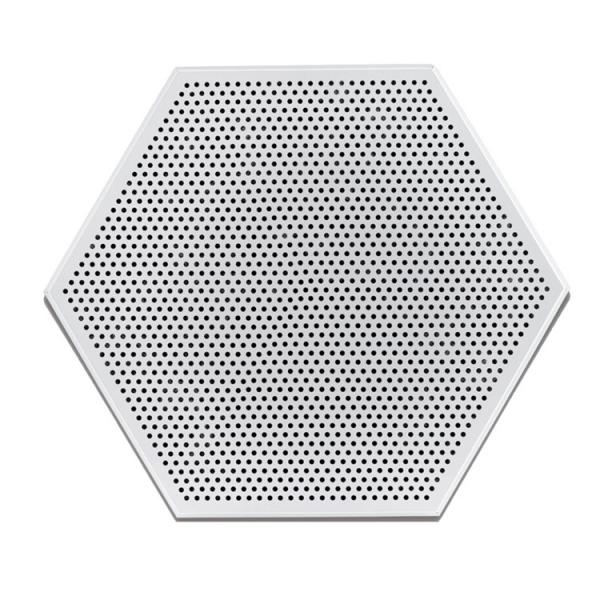 Perforated Hexagon Acoustic Ceiling Tiles Aluminum Pre Painted