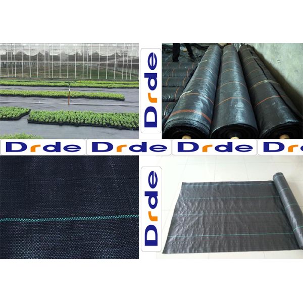 Best Landscape Fabric Production Woven Production Machinery