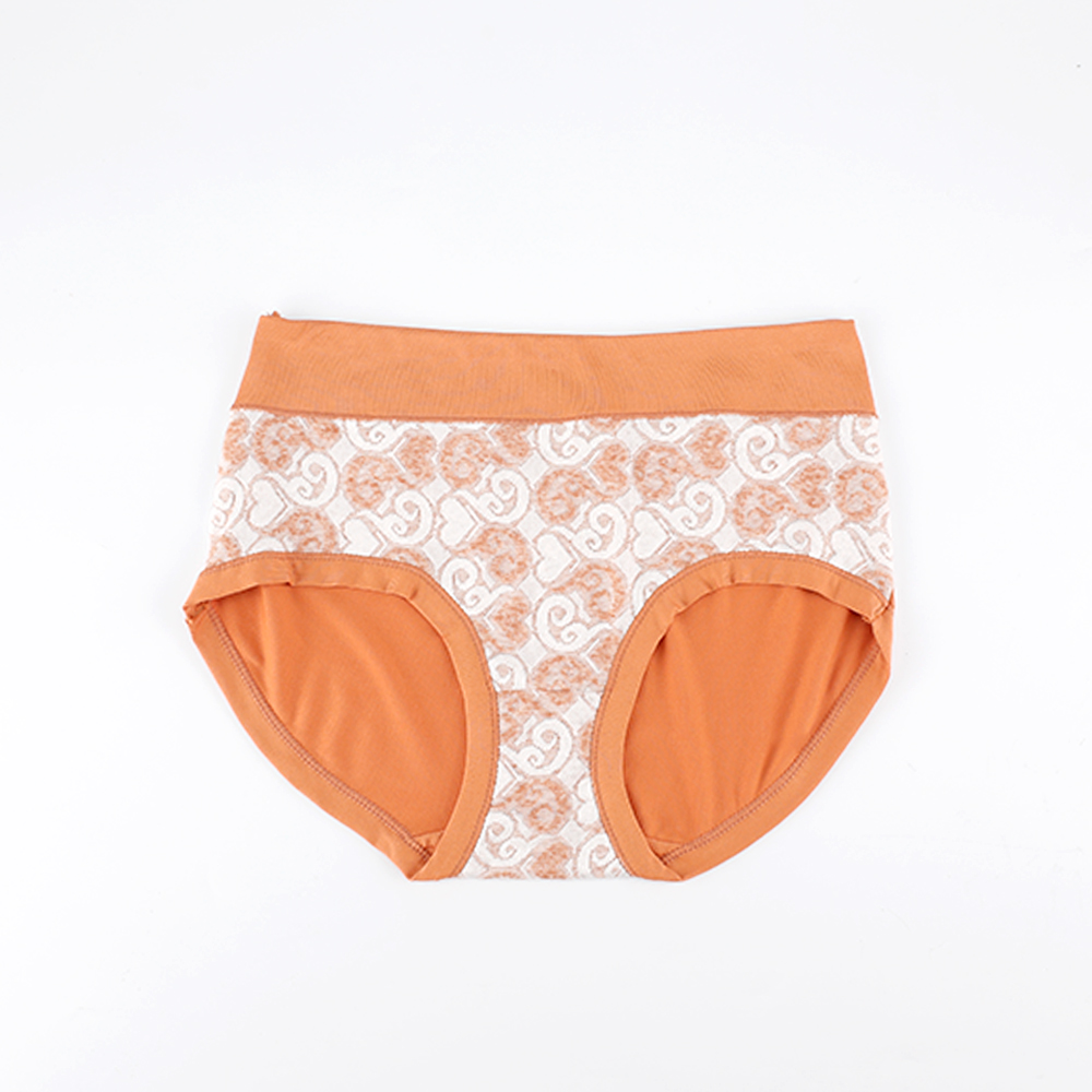 Wholesale High Quality Soft Comfy Women Brief Boxers Fashionable Jacquard Panties 2024 New Design Underpants for Lady