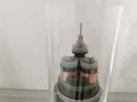 Cabo de fio ligado cruz 3x10mm2 do polietileno 0.6/1KV que glanding
