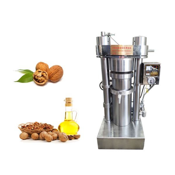 90%-95% Oil Yield Edible Walnut Cooking Oil Making Machine With Copper Motor