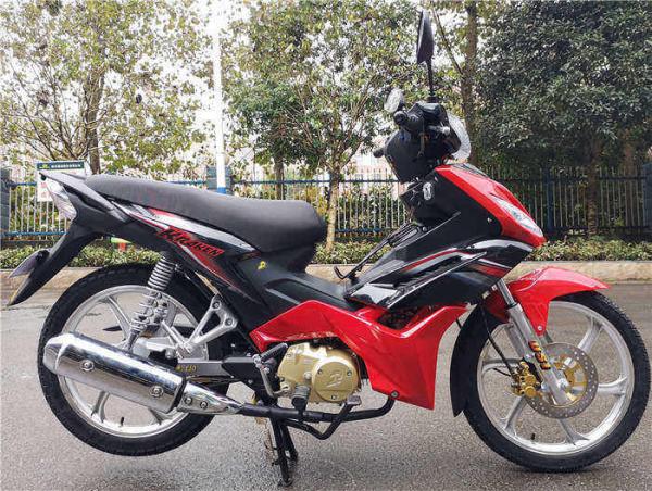 4 Stroke 110cc Cub Motorcycle Air cooled Engine Eagle 8th 85km/h Max Speed