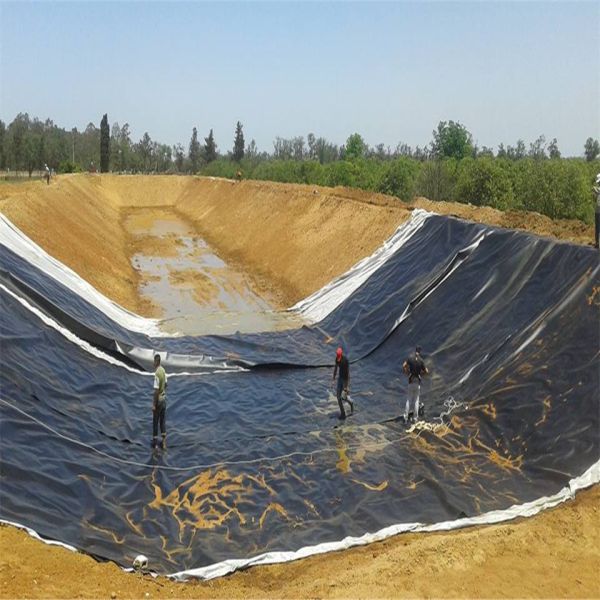 LLDPE Black Pond Liner 0,3 мм 0,5 мм 0,75 мм 1 мм для фермерских хозяйств