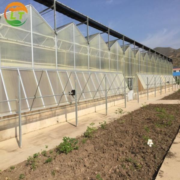 Large Polycarbonate Greenhouse for Vegetable and Flower Cultivation