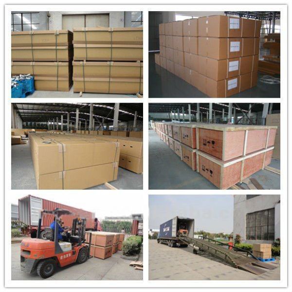 3 Position Hand Operated Medical Hospital Beds with Stainless Steel Guardrail (ALS-M319)