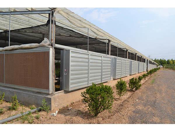 Large Wall  Poultry Farm Ventilation Exhaust Fan Greenhouse Cooling System Fan Industrial Ventilation Exhaust Fan