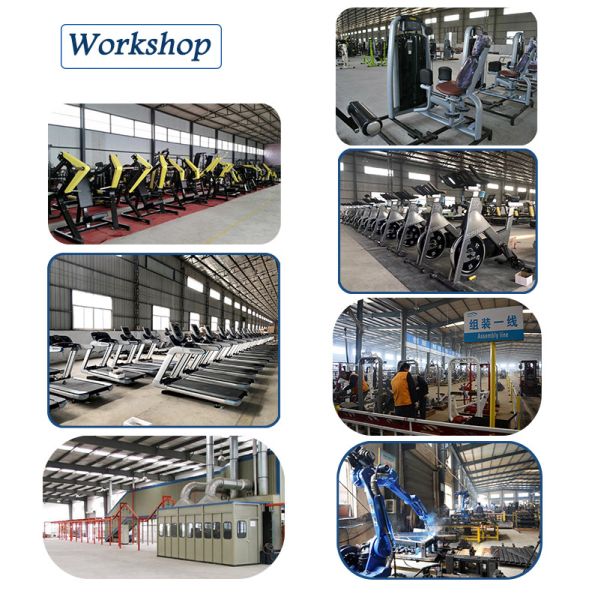 Seated Extension Calf Workout Leg Press Machine , Commercial Gym Machines