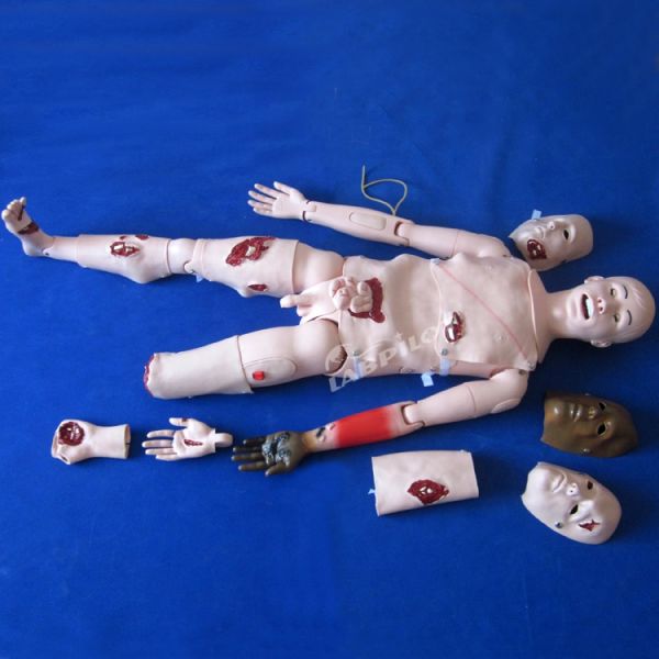 Wound Care Training Manikin for Clinics Professional Nursing Mannequin