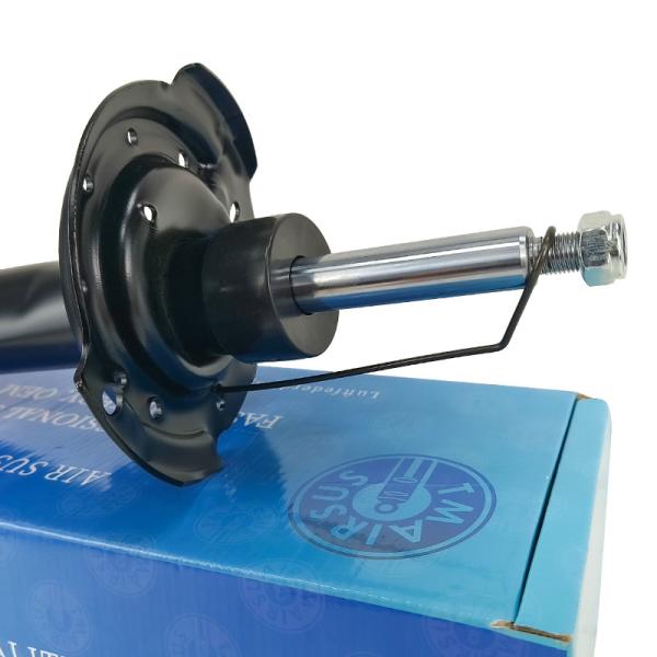 Mercedes Benz Shock Absorber Front Left And Right B-Class W169 W245 1693201830