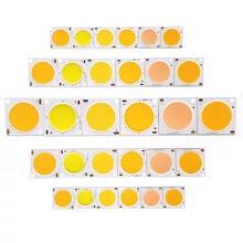1414 1919 2828 4046 blanco de Flip Chip LED 5w 10w 30w 50w 100w 200w 150W del poder más elevado