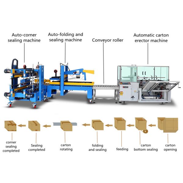 Effortless Operation Fully Automatic Molding Machine for Carton Case Forming Solution