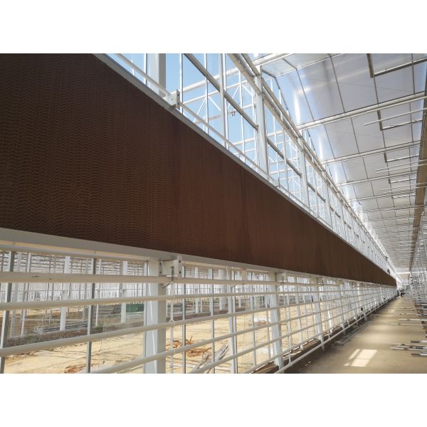 Venlo Dutch Type Multi Span Greenhouse with Hydroponic Growing System Agriculture Equipment