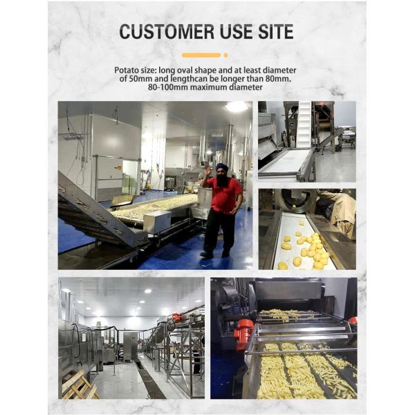 Gas Electric Automatic French Fries Making Machine 50kg/H