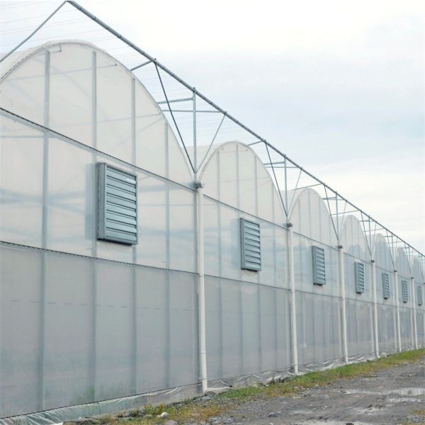 Парник пяди полиэтиленовой пленки полиэтилена Multi с автоматическим поливом воды