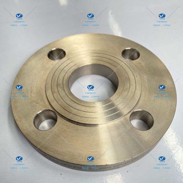 GB/T19001 Ti Gr2 Weld Neck Blind Flange DN40 PN16