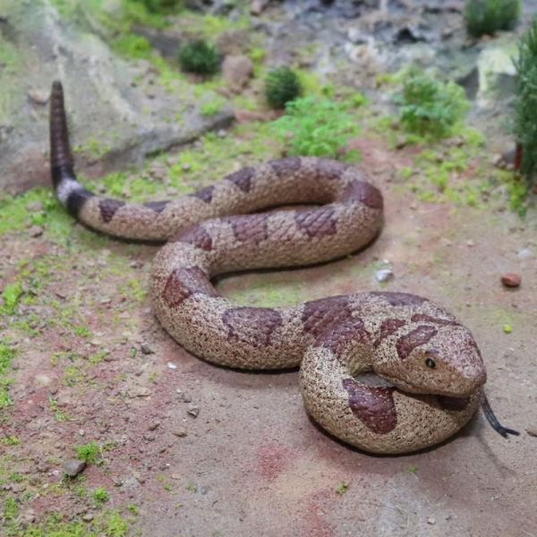 Toy Realistic Scary Snake Animal Doll Companion for Kids' Creepy Halloween Prank Props