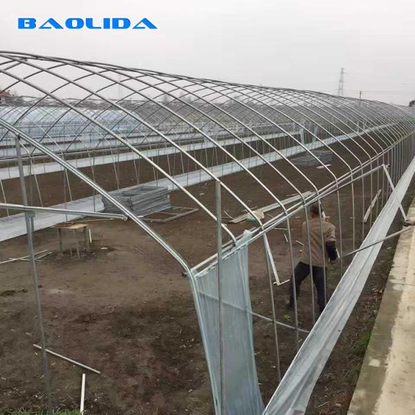 Apoio plástico da agricultura da exploração agrícola do polietileno da estufa do túnel do único período