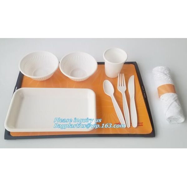 SUGARCANE BAGASSE PLA DINNERWARE BIO ECO TABLEWARE, CUP PLATE BOWL CONTAINER,PLA DISH TRAY, CULTERY BAGPLASTICS BAGEASE