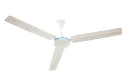 Home Decorative Blade Ceiling Fan 56 Inch 12V DC Remote Control