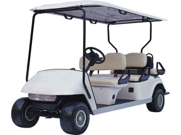 Interlligent Charger,  E-Golfcart