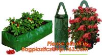 Sacos biodegradáveis do jardim do plantador do OEM, sacos crescentes de suspensão da morango