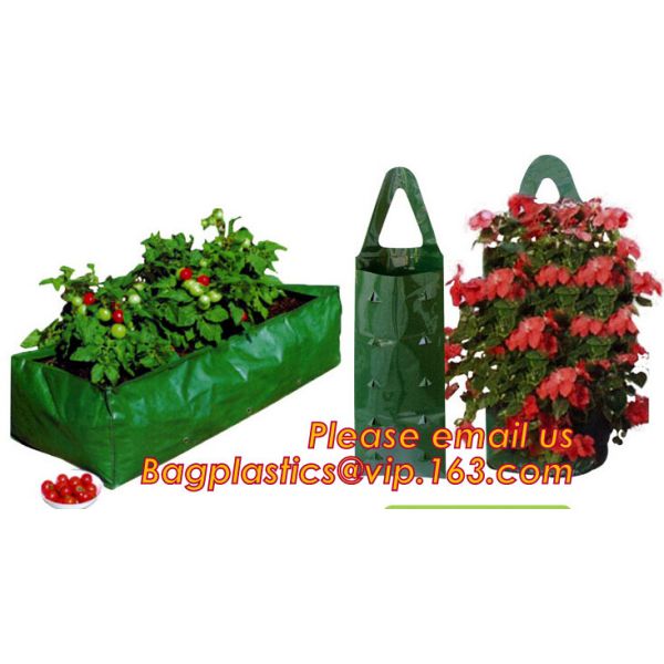 Сумки сада плантатора ОЭМ Биодеградабле, вися растущие сумки клубники