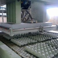 Machines de formage de boîtes à œufs de ferme Machines de carton