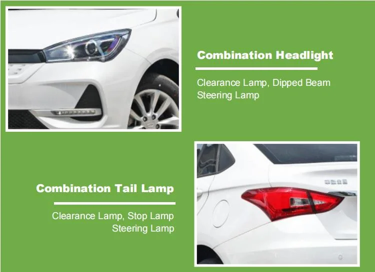 Raysince Factory Price High Speed Electric Car China Supplier Hot Sales New Energy Car with Four Seats and and Five Door